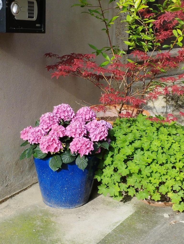 Gite Couleur Cuivre Cerdon  Ngoại thất bức ảnh